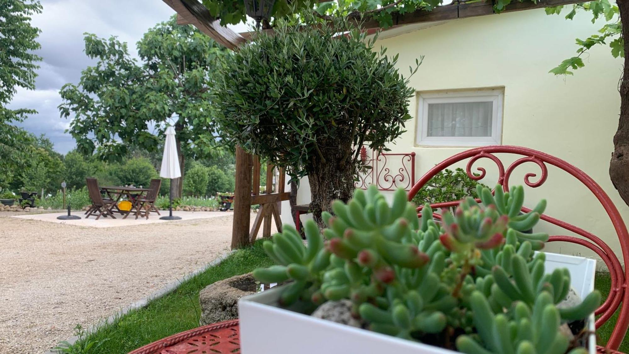 Quinta Vale Salgueiro Apartment Seia Exterior photo